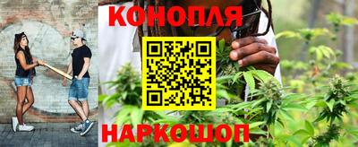 каннабис Кандалакша