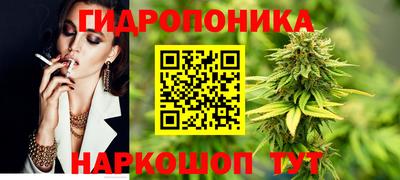 Альфа ПВП Канаш