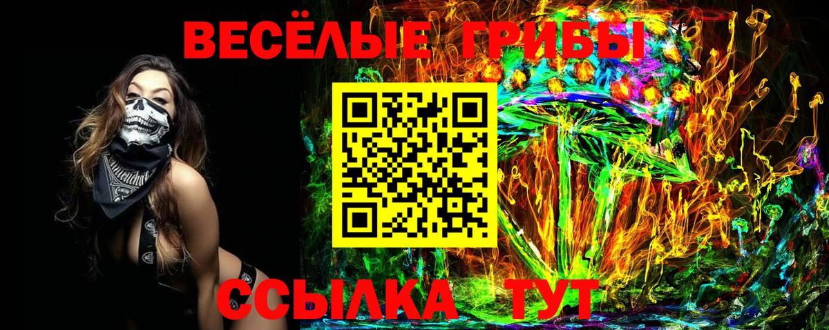 Псилоцибиновые грибы Psilocybe  Вход с VPN  Кулебаки 